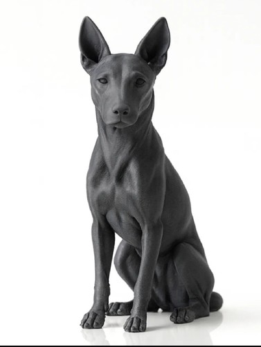 Statua basenji pollici - basenji, 7