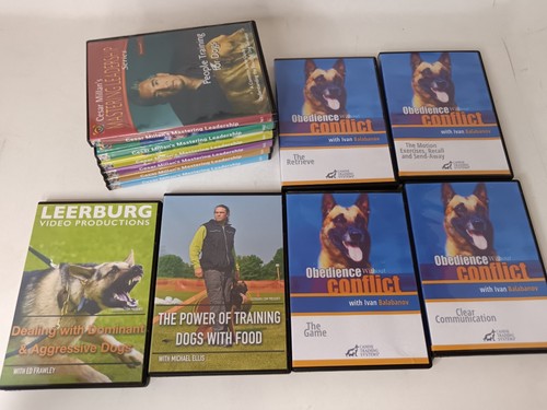Comprehensive dog training - dog,