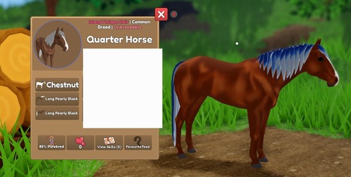 Iuh quarter horse nero - quarter,
