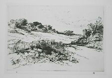 SEYMOUR HADEN MULINO A VENTO