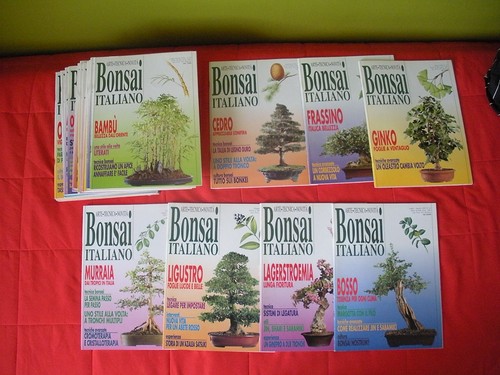 Riviste bonsai italiano - 25,