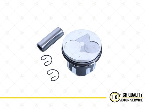 Piston with ring std - ring,
