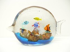 Bellissimo oggetto acquario