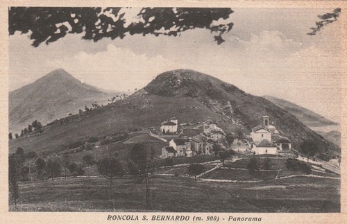 Roncola bernardo - s.,