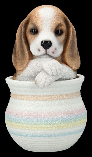 Cani figura beagle in - cani,