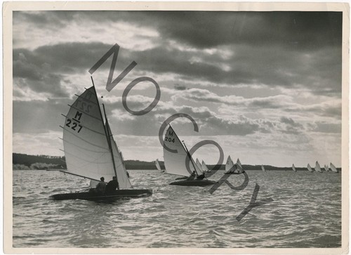 Foto regata vela barche - foto,