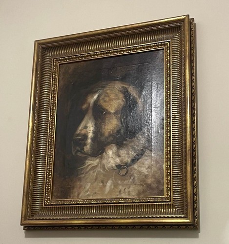 Dipinto olio 50x70 pastore - olio,