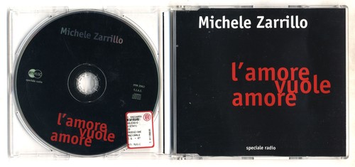 Promo michele zarrillo - promo,