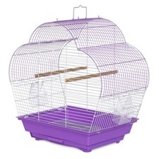 Prevue PetPalm tetto a