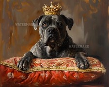 Corso canna reale con corona -