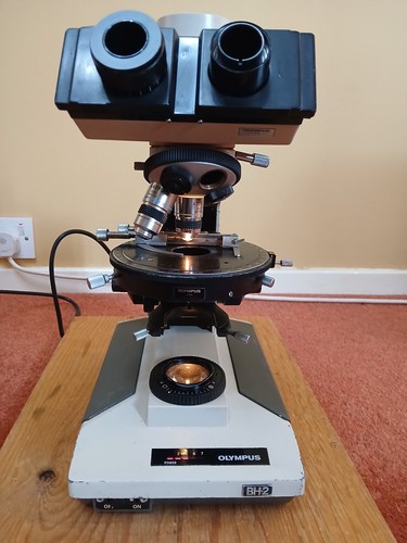 Olympus microscopio - olympus, bh-2