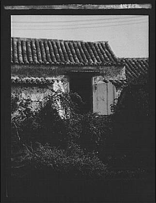 Foto cuba guatemala - guatemala, 1900