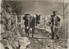 ALPINO COL MULO - LA MASSAIA