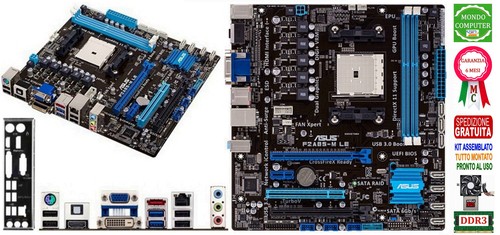 Scheda madre socket - socket, asus