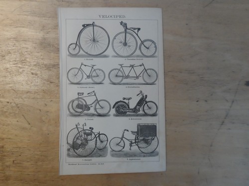 Orig bicicletta - orig.(1893),
