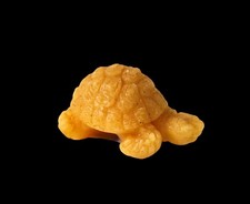 TARTARUGA VINTAGE ANNI 70 CONSERVATA MOLTO BENE IN CERA D'API MADE IN ITALY