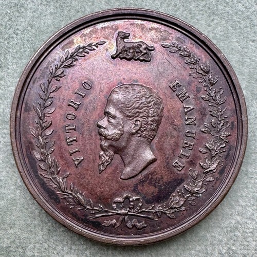 Medaglia bronzo 1878 morte - , re