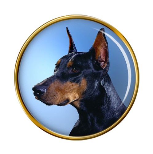 Dobermann pinscher lapel - pinscher,