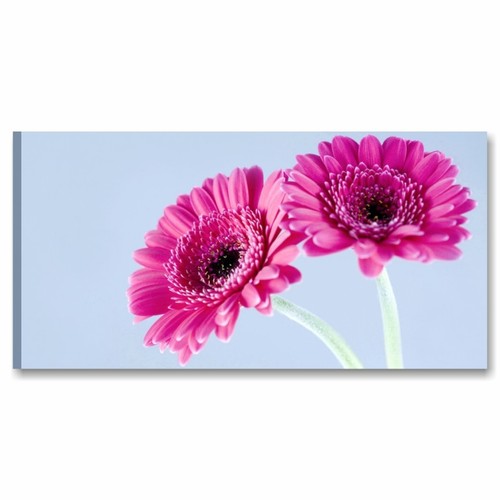 Fiori rosa quadro moderno - rosa,