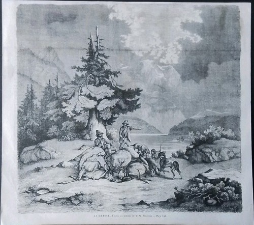 Stampa 1862 caccia cervo - stampa,