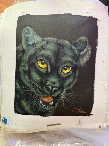 Vintage pantera nera cougar - vintage,