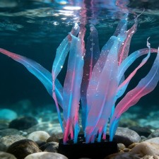 Decorazione Acquario 7"