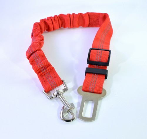 Cintura sicurezza per cani - sicurezza,