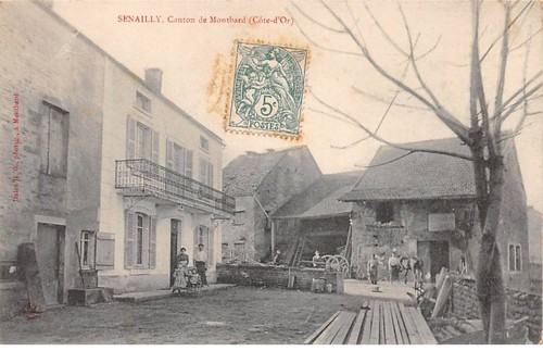 Senailly san31785 - 21,
