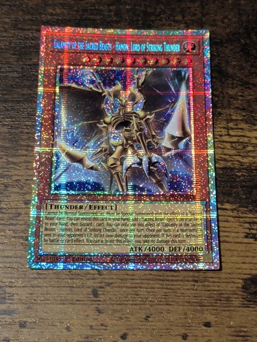 Yugioh calamità delle - calamità,
