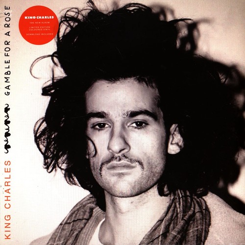 King charles gamble - king, a