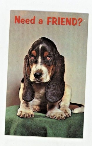 Cartolina epoca cane - cartolina, d'epoca