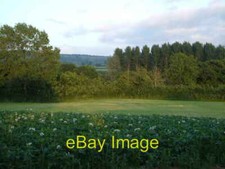 Photo 6x4 Potato patch at