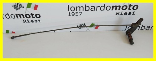 Porzione finale asta - porzione,