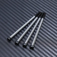 MYB0025 Mayako Perni Passanti