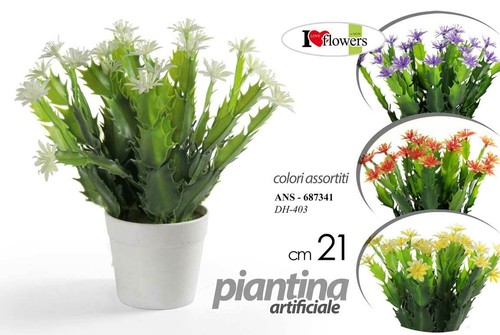 Pianta piantina finta - piantina,