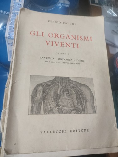 Gli organismi viventi - gli, falchi
