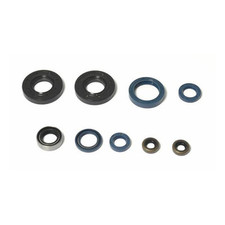 Serie paraoli motore Cagiva