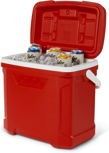 Igloo 00050346 quart - igloo, 30
