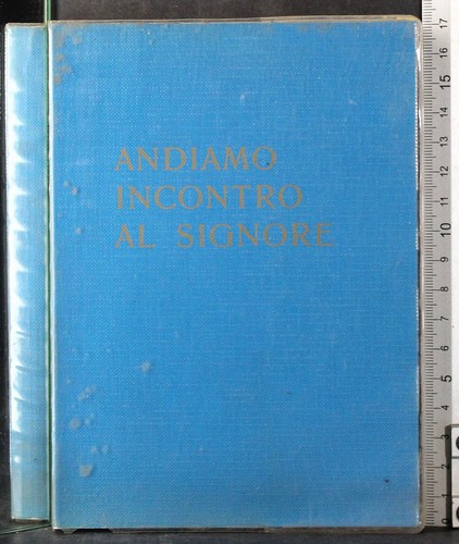 Andiamo incontro signore - al,