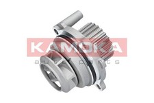 KAMOKA T0029 Pompa Acqua