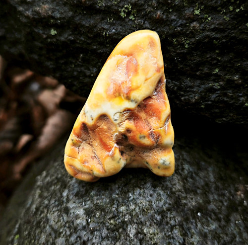 Ambra baltica pietra - , sciolta