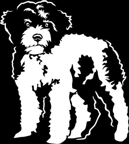 Adesivo lagotto romagnolo - adesivo,