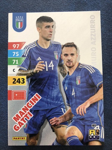 Mancini gatti card azzurri - mancini,