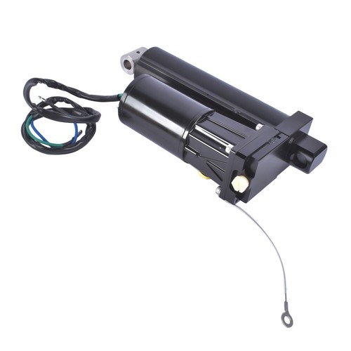 Motore fuoribordo power - motore, trim