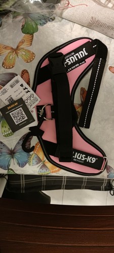 Pettorina cane julius - , k9