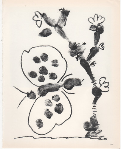 Pablo picasso dalla - -,