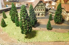 20 Abeti Scuri, Alberi A Foglia Sempreverde, 10 Pezzi Di 58 E 110 Mm Di Altezza