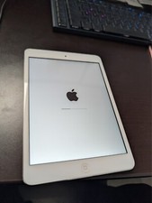 iPad Mini 2 32GB quasi come