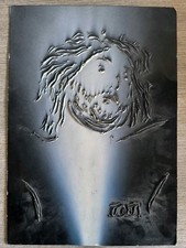 Interessante tecnica mista: vernice e olio in rilievo, del volto di un Cristo