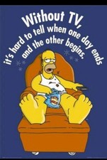 THE SIMPSONS HOMER SIMPSON